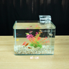 Bể cá mini Đúc uốn cong 25x16x18cm để bàn Với nhiều mẫu lựa chọn có kèm phụ kiện sỏi nền và cây nhựa