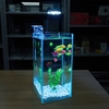 Bể Cá Mini Để Bàn Trụ Đứng 15x15x30cm Phù Hợp Nuôi Cá Cảnh Mini