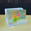 Bể cá mini Đúc uốn cong 25x16x18cm để bàn Với nhiều mẫu lựa chọn có kèm phụ kiện sỏi nền và cây nhựa