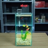 Bể Cá Mini Để Bàn Trụ Đứng 15x15x30cm Phù Hợp Nuôi Cá Cảnh Mini