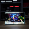 Bể Cá Mini Để Bàn Dán Sẵn Tranh Kích Thước 30x15x18cm Phù Hợp Nuôi Cá Cảnh Mini Để Bàn