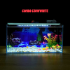 Bể cá Mini Để Bàn Có Tranh Dán  Kích Thước D40cm x R20cm x C20cm  Giúp Hồ Cá Đẹp Hơn
