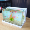 Bể cá mini Đúc uốn cong 35x21x23cm để bàn Với nhiều mẫu lựa chọn có kèm phụ kiện sỏi nền và cây nhựa