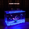 Bể cá mini Đúc uốn cong 35x21x23cm để bàn Với nhiều mẫu lựa chọn có kèm phụ kiện sỏi nền và cây nhựa