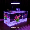 Bể cá mini 40x20x20cm Nhiều Mẫu Để Bàn Đẹp Phù Hợp Nuôi Cá Cảnh Nhỏ