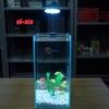 Bể Cá Mini Để Bàn Trụ Đứng 15x15x30cm Phù Hợp Nuôi Cá Cảnh Mini