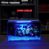 Bể Cá Mini Để Bàn Dán Sẵn Tranh Kích Thước 30x15x18cm Phù Hợp Nuôi Cá Cảnh Mini Để Bàn