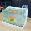 Bể cá mini Đúc uốn cong 40x24x25cm để bàn Với nhiều mẫu lựa chọn có kèm phụ kiện sỏi nền và cây nhựa