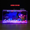 Bể cá Mini Để Bàn Có Tranh Dán  Kích Thước D40cm x R20cm x C20cm  Giúp Hồ Cá Đẹp Hơn