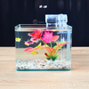 Bể cá mini Đúc uốn cong 20x14x16cm để bàn Với nhiều mẫu lựa chọn có kèm phụ kiện sỏi nền và cây nhựa