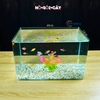 Bể cá mini Đúc uốn cong 35x21x23cm để bàn Với nhiều mẫu lựa chọn có kèm phụ kiện sỏi nền và cây nhựa