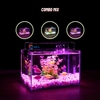 Bể cá mini để bàn 22x15x15cm CHỌN MẪU với nhiều mầu có kèm phụ kiện