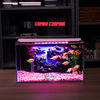 Bể Cá Mini Để Bàn Dán Sẵn Tranh Kích Thước 30x15x18cm Phù Hợp Nuôi Cá Cảnh Mini Để Bàn