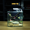 Bể cá mini CUBIC 25cm để bàn