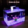 Bể cá mini Đúc uốn cong 40x24x25cm để bàn Với nhiều mẫu lựa chọn có kèm phụ kiện sỏi nền và cây nhựa