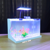 Bể cá mini Đúc uốn cong 35x21x23cm để bàn Với nhiều mẫu lựa chọn có kèm phụ kiện sỏi nền và cây nhựa