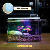 Bể Cá Mini Để Bàn ĐÚC SIÊU TRONG 25x16x18cm Phù Hợp Nuôi Cá , Làm Hồ Thuỷ Sinh Mini