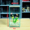 Bể Cá Mini Để Bàn Trụ Đứng 15x15x30cm Phù Hợp Nuôi Cá Cảnh Mini