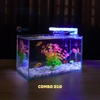 Bể Cá Mini Mài Cạnh Vi Tính Kích Thước 30x15x18cm - Thích Hợp Nuôi Cá Cảnh Để Bàn