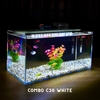 Bể cá mini 40x20x20cm Nhiều Mẫu Để Bàn Đẹp Phù Hợp Nuôi Cá Cảnh Nhỏ