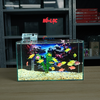 Bể Cá Mini Để Bàn Dán Sẵn Tranh Kích Thước 30x15x18cm Phù Hợp Nuôi Cá Cảnh Mini Để Bàn