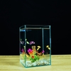 Bể Cá Mini PT AQUA 15x15x20cm Kính 5ly Phù Hợp Nuôi Cá Mini Để Bàn hoặc Làm Bể Thuỷ Sinh Mini Để Bàn