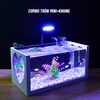 Bể cá mini để bàn 40x20x20cm nhiều mẫu phù hợp nuôi cá cảnh mini nhỏ nhỏ để bàn