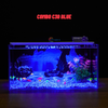 Bể cá Mini Để Bàn Có Tranh Dán  Kích Thước D40cm x R20cm x C20cm  Giúp Hồ Cá Đẹp Hơn