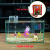 Bể cá mini COMBO Phụ kiện 5 món , 6 món , 7 món