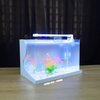 Bể cá mini Đúc uốn cong 40x24x25cm để bàn Với nhiều mẫu lựa chọn có kèm phụ kiện sỏi nền và cây nhựa