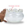 Chậu thủy tinh tai bèo để bàn , chậu thủy tinh mini tai bèo HB01 nuôi cá và trang trí