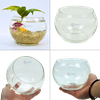 Chậu thủy tinh mini tròn ngang 14cm cao 12cm