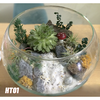 Chậu thủy tinh tròn HT01 size lớn dành cho nuôi cá hoặc trang trí