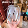 Chậu thủy tinh mini , chậu hoa thủy tinh , chậu thủy tinh mini tai bèo