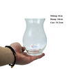 Chậu thủy tinh mini hình bầu bụng 10cm cao 13cm trồng cây nuôi cá thủy canh