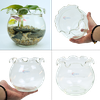 Chậu thủy tinh mini nuôi cá, bể cá mini để bàn