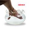 Chậu thủy tinh tai bèo để bàn , chậu thủy tinh mini tai bèo HB01 nuôi cá và trang trí