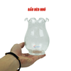 Chậu thủy tinh mini hình bầu bèo bụng 10cm cao 14cm trồng cây nuôi cá thủy canh