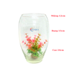 Chậu thủy tinh Quả Dưa QD thích hợp trồng cây m nuôi cá tiểu cảnh trang trí