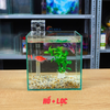 Bể cá mini BETTA nhỏ xinh để bàn