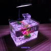 Bể cá mini Đúc uốn cong 25x16x18cm để bàn Với nhiều mẫu lựa chọn có kèm phụ kiện sỏi nền và cây nhựa