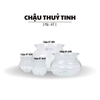 Chậu Thuỷ Tinh Để Bàn Mã HT-M Có Cổ Nhô Lên Cao Phù Hợp Nuôi Cá Cảnh Mini Kêt Hợp Trông Thuỷ Canh