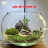 Chậu thủy tinh tròn HT01 size lớn dành cho nuôi cá hoặc trang trí