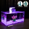Bể cá mini 40x20x20cm Nhiều Mẫu Để Bàn Đẹp Phù Hợp Nuôi Cá Cảnh Nhỏ