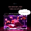 Đèn led 6 dãy ánh sáng phối màu WRGB kích thước 20 - 70cm dành cho hồ thủy sinh, hồ cá cảnh