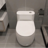 Bồn cầu 1 khối, bệt vệ sinh CR6664