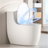 Bồn cầu 1 khối, bệt vệ sinh CR6663