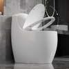 Bồn cầu 1 khối, bệt vệ sinh CR6666
