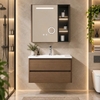 Bộ tủ chậu lavabo, tủ gương phòng tắm CR-T09