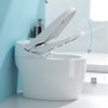 Bồn cầu thông minh CR 205S